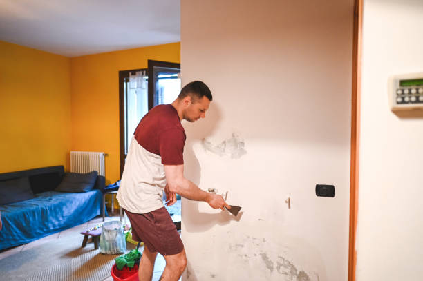 Best Toxic Mold Removal  in Fruit Cove, FL